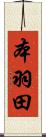 本羽田 Scroll