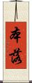 本落 Scroll