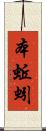 本蚯蚓 Scroll