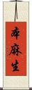 本麻生 Scroll