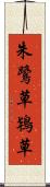 朱鷺草 Scroll
