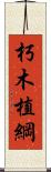 朽木植綱 Scroll