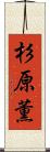 杉原薫 Scroll