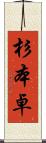 杉本卓 Scroll