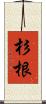 杉根 Scroll