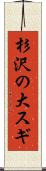 杉沢の大スギ Scroll