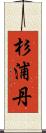 杉浦丹 Scroll