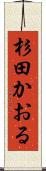 杉田かおる Scroll