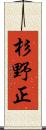 杉野正 Scroll