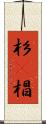 杉(P) Scroll