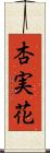 杏実花 Scroll