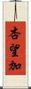 杏望加 Scroll