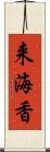 来海香 Scroll