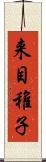 来目稚子 Scroll