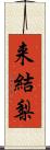 来結梨 Scroll