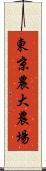 東京農大農場 Scroll