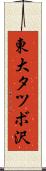 東大タツボ沢 Scroll