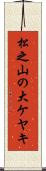 松之山の大ケヤキ Scroll
