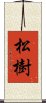 松樹 Scroll