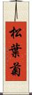 松葉菊 Scroll