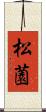 松薗 Scroll