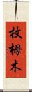 枚栂木 Scroll