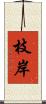 枝岸 Scroll