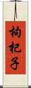 枸杞子 Scroll