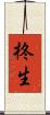 柊生 Scroll