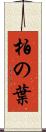 柏の葉 Scroll