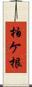 柏ケ根 Scroll