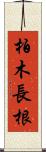 柏木長根 Scroll