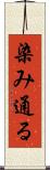 染み通る Scroll