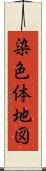 染色体地図 Scroll