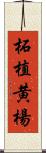 柘植 Scroll