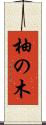 柚の木 Scroll