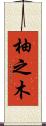 柚之木 Scroll