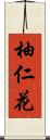 柚仁花 Scroll