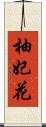 柚妃花 Scroll