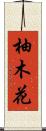 柚木花 Scroll