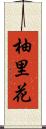 柚里花 Scroll