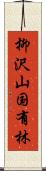 柳沢山国有林 Scroll