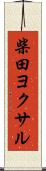 柴田ヨクサル Scroll