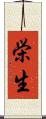 栄生 Scroll