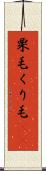 栗毛 Scroll