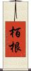 栢根 Scroll