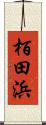栢田浜 Scroll