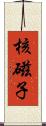 核磁子 Scroll