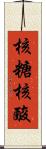 核糖核酸 Scroll