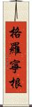 格羅寧根 Scroll